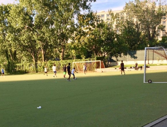"Sorry," Rosenthal tells soccer enthusiasts, Octagon Field project is delayed Octagon Field: Pickup games continued for weeks after the official closing but before protective fencing went up.